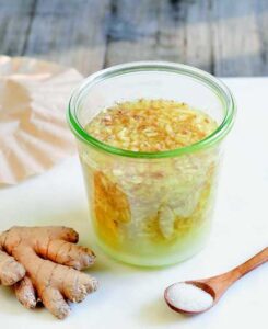 Ginger Bug Soda Starter Recipe